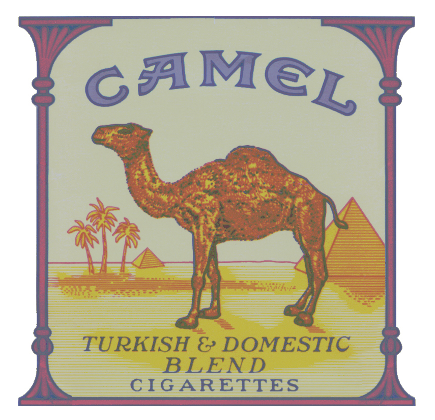 Camel какие вкусы. Сигареты кэмел. Пачка сигарет кэмел. Camel Yellow сигареты. Пачка сигарет кэмел желтый.